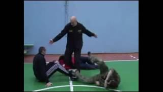 Energy  Self Defense  Systema Vadim Starov "No Contact Combat"