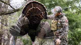 BEST TURKEY HUNTING EVER? | BIRD DOWN!