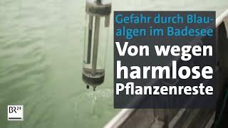 Blaualgen, gefährliche Bakterien statt Pflanzenreste im Badesee | Abendschau | BR24