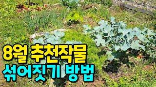 8월에 함께 심으면 좋은 작물 추천주말농장에 꼭 심어보세요!