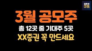 25년 3월 공모주 일정 | 기대주 5곳, 개설해야할 증권사는?