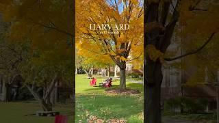 A quick peek at life on campus #Harvard #HarvardUniversity