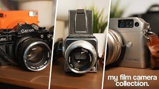 My Film Camera Collection