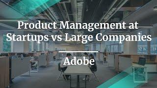 Product Management at Startups vs Large Companies by Adobe PMM