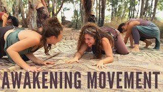 Awakening Movement with Naomi Ring!  Video by Idit Nissenbaum