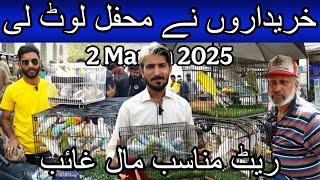 Lalukhet birds market part 2 March 2, 2025 | Cheapest price birds market in karachi pakistan