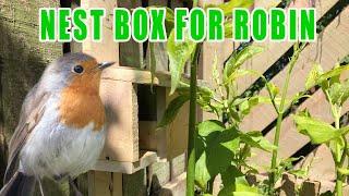 Making a robin nest box.