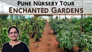 Pune Nursery Tour - Enchanted Gardens (With Prices) | Indoor plants | Succulents | Outdoor Plants