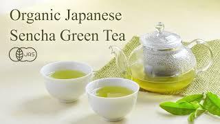 【JAS Organic】How to Brew Organic Sencha Green Tea【Yamasan Kyoto Uji】