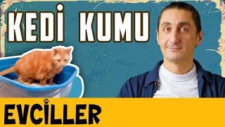 Kedi Kumu - Evciller - Vet. Hekim Efe Onur - B02