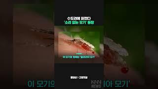 "소리 없는 모기 보셨다면.." 수도권에 퍼진 '감염주의' #shorts