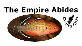 Empire Gudgeon - One Gudgeon to Rule Them All!!!