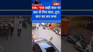 अब Sunroofलेने से पहले Dekh lo️Damange Sunrof #shorts #ytshorts #tharroxx #automobile #scorpio