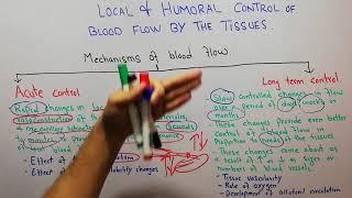 Acute control | Long term control | Autoregulation of blood flow | CVS 94