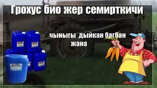 ГРОХУС био жер семирткичи Чыныгы ДЫЙКАН, ҮЙ КОЖОЙКЕСИ жана БАГБАНДЫН тандоосу