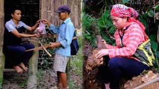 Phuong's worries are not over yet - Luckily met a kind hunter _ Phuong's family life