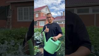 Лайфхак с лейкой 