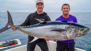 MOST EXPEN$IVE Tuna in the World! Catch and Cook