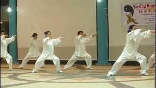 Chen Style Taiji performance by Zhu Xiang Qian School