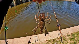 Catfishing On The River! (Bank Fishing)