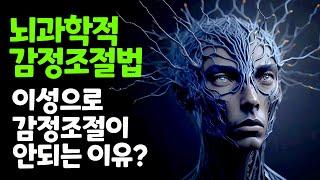 지금까지의 뇌과학적 감정조절법은 틀렸다 I 최신 뇌과학 감정조절