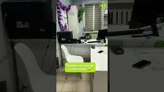 Что за чудо