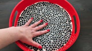 Making Oobleck with Black Orbeez Satisfying