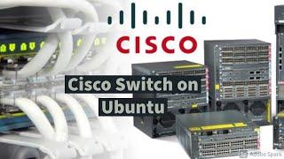 How to connect cisco switch on Ubuntu