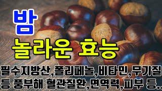 [밤 효능] 밤의 놀라운 효능: 몸과 마음을 강화하는 자연의 선물