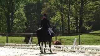 Holsteins Derwisch Saumur 2014