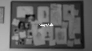 Amygdala | Short Film