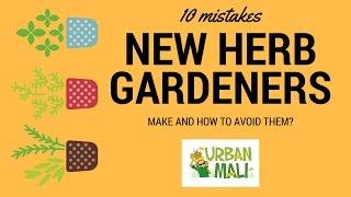 10 Mistakes New Herb Gardeners Make And How to Avoid Them! - UrbanMali.com