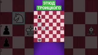 СМЕРТЕЛЬНЫЙ ТУПИК ИЛИ ПОЛНЫЙ ЦУГЦВАНГ! #shorts