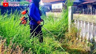 Ya Ampun Bro  Kok rumput nya sampai seperti ini