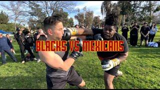 Blacks VS Mexicans North Hollywood Friendly Fades