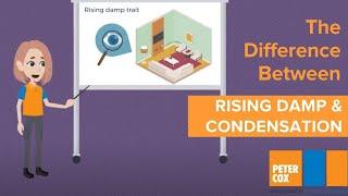 Damp on walls? | What's the Difference Between Rising Damp and Condensation?