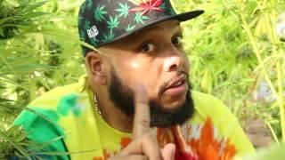 Potluck - OG Ganja Farmer feat. Winstrong (Official Video)