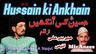 Imam Hussain (as) ki Ankhain | Mir Anees | Allama Zameer Akhtar Naqvi | Poetry #hussainsabka