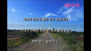 @미생의 다리 갯골 생태공원