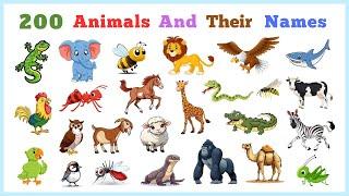 Animals Vocabulary in English | 200 Animals, Birds, Insects Name in English with Pictures
