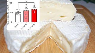 Камамбер бустит нейротрофические факторы мозга? Разбор исследования.