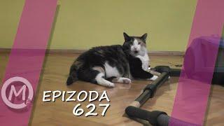 Porodica Zloća - Epizoda 627 (Season 14)