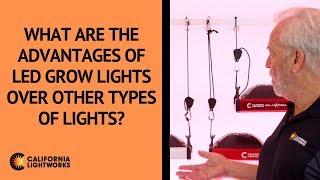 What are the advantages of LED grow lights over other types of lights? - FAQ