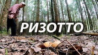 РИЗОТТО - САМАЯ МОДНАЯ В МИРЕ КАША! МОСКОВСКИЙ БРЕНД-ШЕФ ГОТОВИТ СЕЗОННЫЙ РИЗОТТО ИЗ ДИКИХ ГРИБОВ!