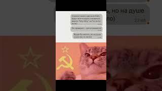 Мем про кота из США и букву С