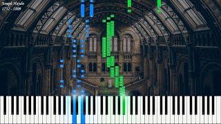 Joseph Haydn - Piano Concerto No. 11 in D major, Hob. XVIII/11 | Piano Synthesia | Library of Music