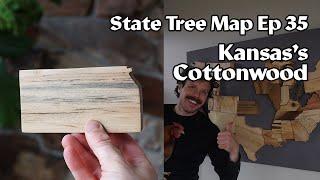 State Tree Map ep 35: Kansas's Cottonwood