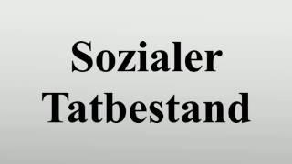 Sozialer Tatbestand