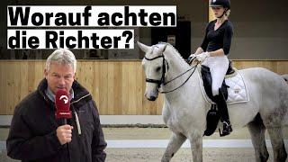 L-Dressur: Alles andere als leicht| Darauf kommt es an!| ClipMyHorse.TV Academy