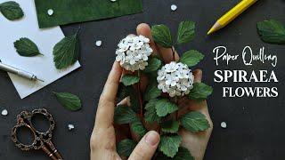 Paper Quilling Spirea Flowers and a Short Plant Vlog  Relaxing Art